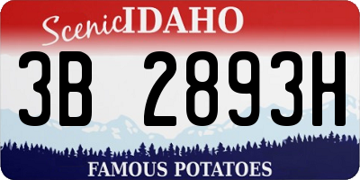 ID license plate 3B2893H