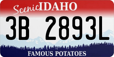ID license plate 3B2893L