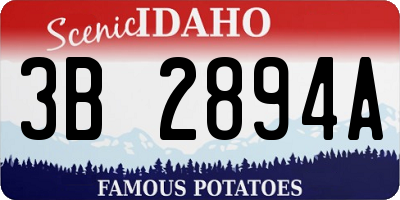 ID license plate 3B2894A