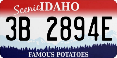 ID license plate 3B2894E