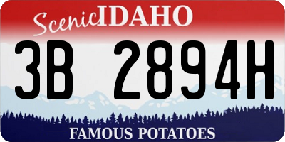ID license plate 3B2894H