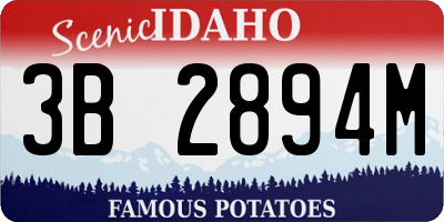 ID license plate 3B2894M