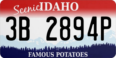 ID license plate 3B2894P