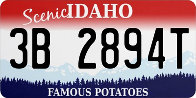 ID license plate 3B2894T