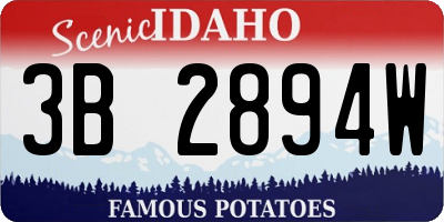 ID license plate 3B2894W