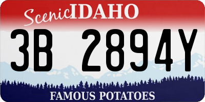 ID license plate 3B2894Y