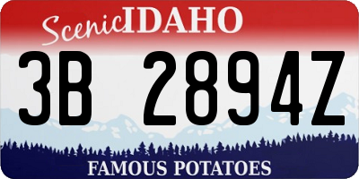 ID license plate 3B2894Z