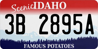 ID license plate 3B2895A