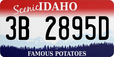 ID license plate 3B2895D