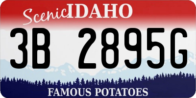 ID license plate 3B2895G