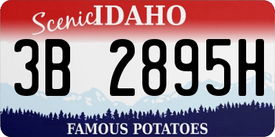 ID license plate 3B2895H