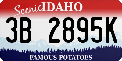 ID license plate 3B2895K