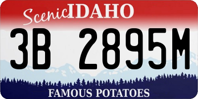 ID license plate 3B2895M