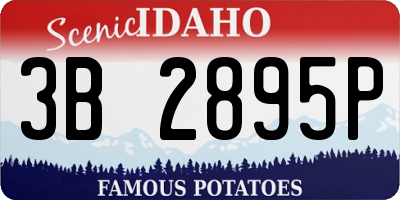 ID license plate 3B2895P