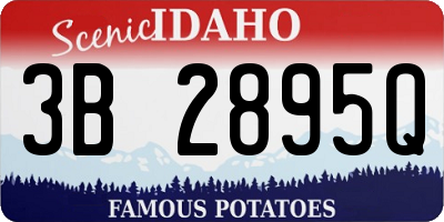 ID license plate 3B2895Q