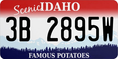 ID license plate 3B2895W