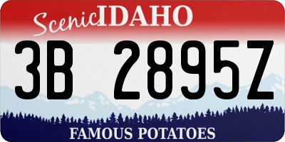 ID license plate 3B2895Z
