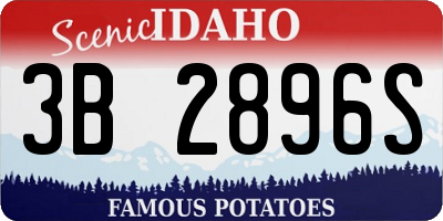 ID license plate 3B2896S