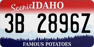 ID license plate 3B2896Z