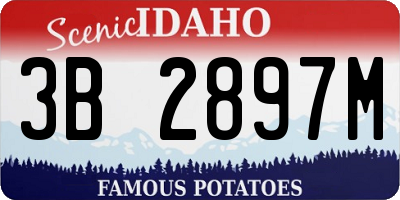 ID license plate 3B2897M