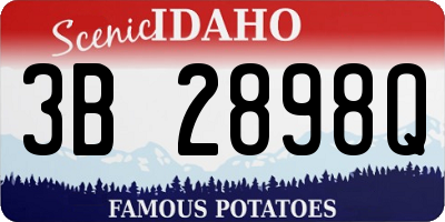 ID license plate 3B2898Q