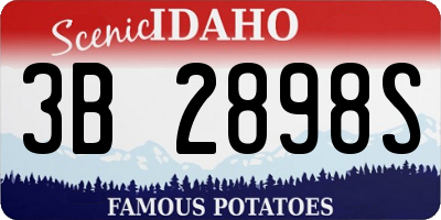 ID license plate 3B2898S