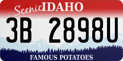 ID license plate 3B2898U