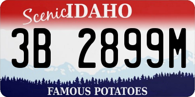 ID license plate 3B2899M