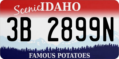 ID license plate 3B2899N