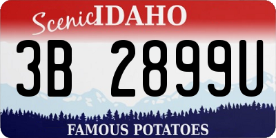 ID license plate 3B2899U