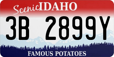 ID license plate 3B2899Y