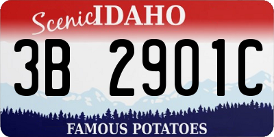 ID license plate 3B2901C