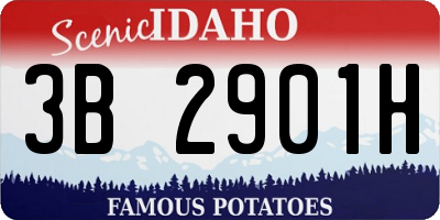 ID license plate 3B2901H