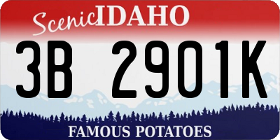 ID license plate 3B2901K