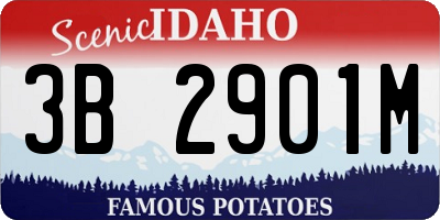 ID license plate 3B2901M