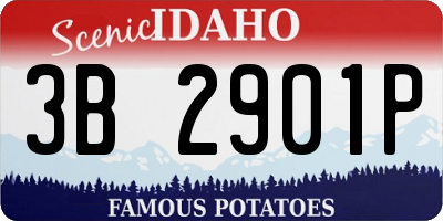 ID license plate 3B2901P