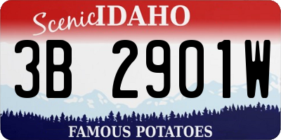 ID license plate 3B2901W