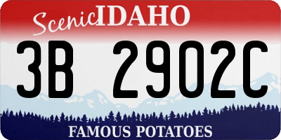 ID license plate 3B2902C