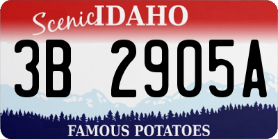 ID license plate 3B2905A