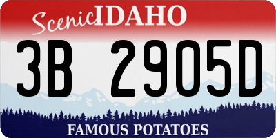 ID license plate 3B2905D