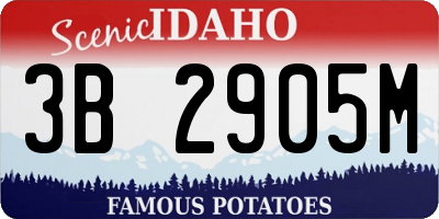 ID license plate 3B2905M