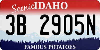ID license plate 3B2905N