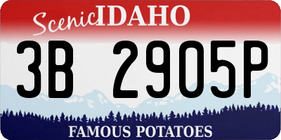 ID license plate 3B2905P