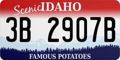 ID license plate 3B2907B