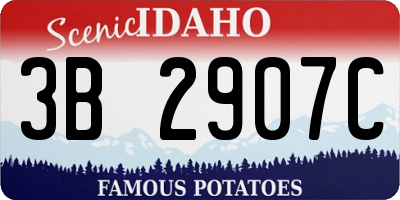 ID license plate 3B2907C