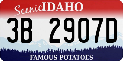 ID license plate 3B2907D