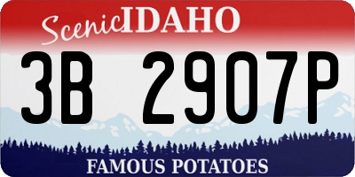 ID license plate 3B2907P