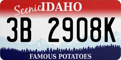 ID license plate 3B2908K