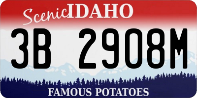 ID license plate 3B2908M