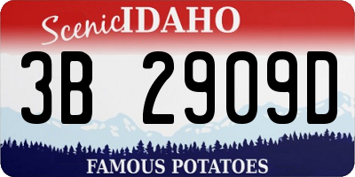 ID license plate 3B2909D